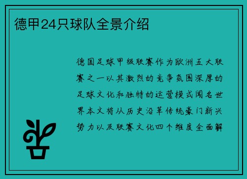德甲24只球队全景介绍